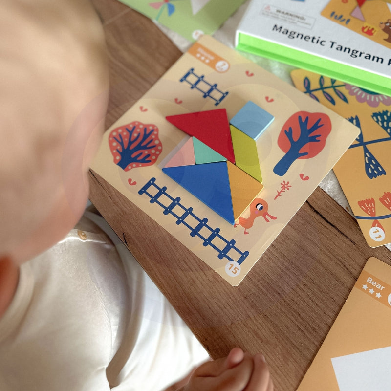 Izglītojoša magnētu puzle, figūru apgūšanai, 18 elementi