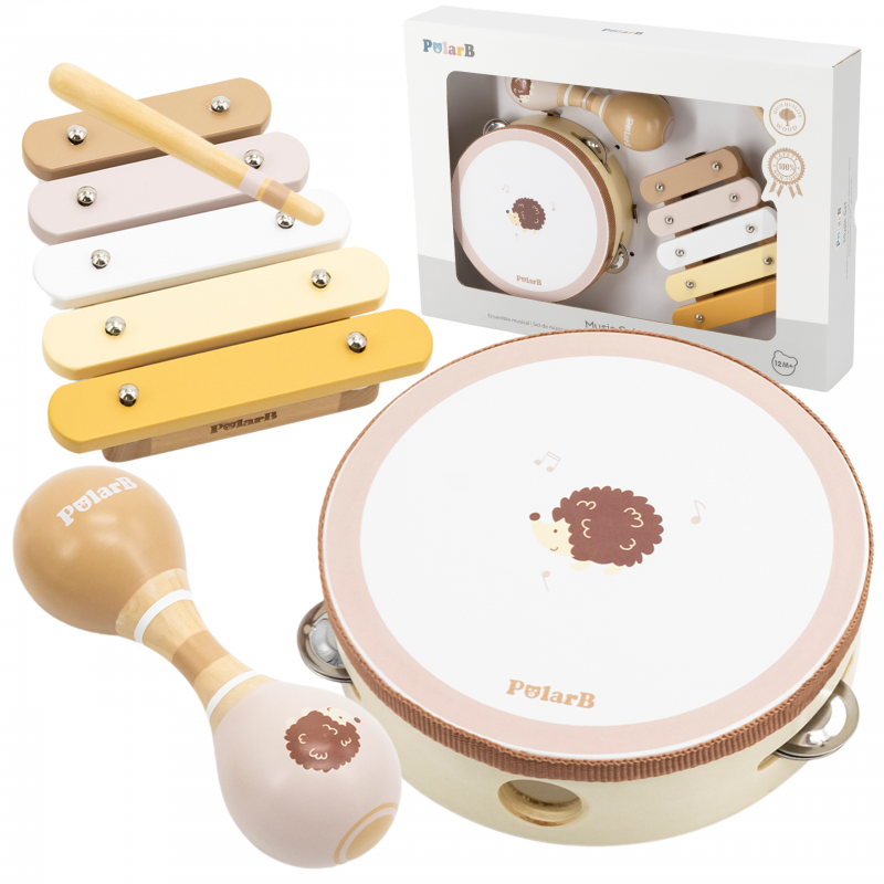 Mūzikas instrumentu komplekts Ezis