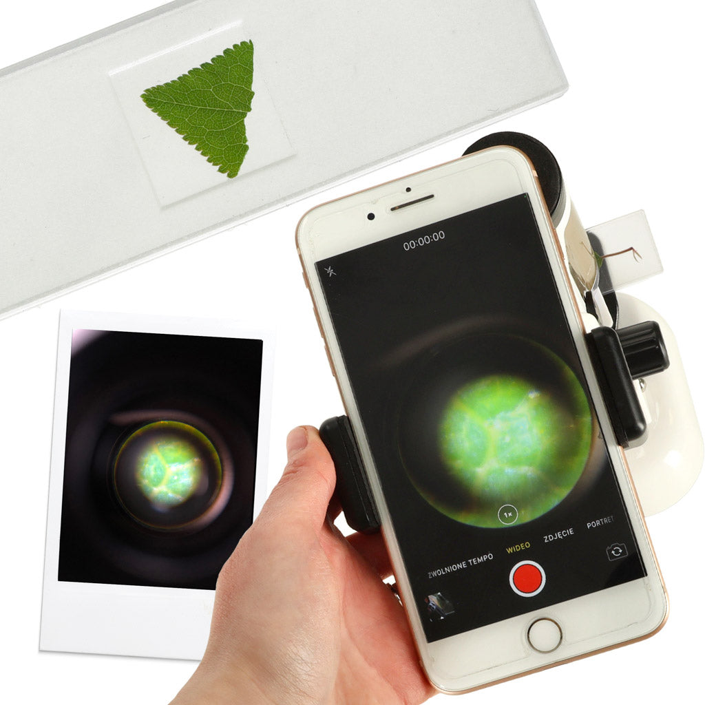 Kabatas mikroskops 100–250x ar statīvu un paraugiem