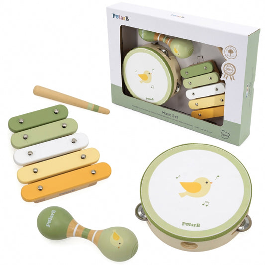 Mūzikas instrumentu komplekts putniņš