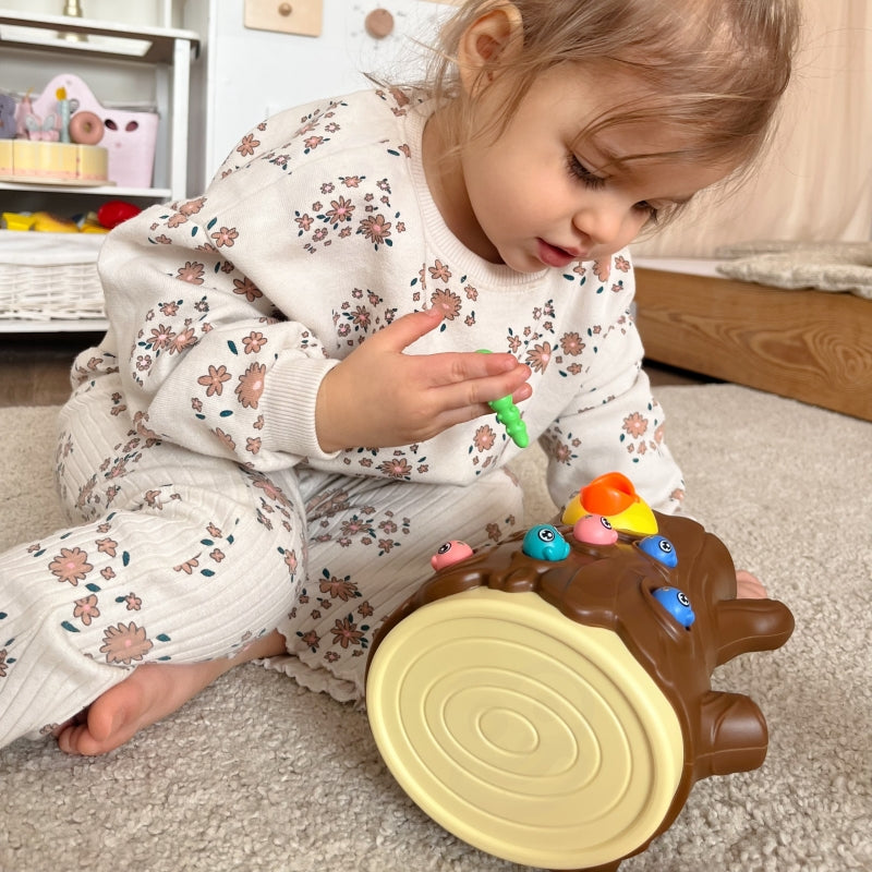 Dzeņa rotaļlieta ar magnētiem komplekts